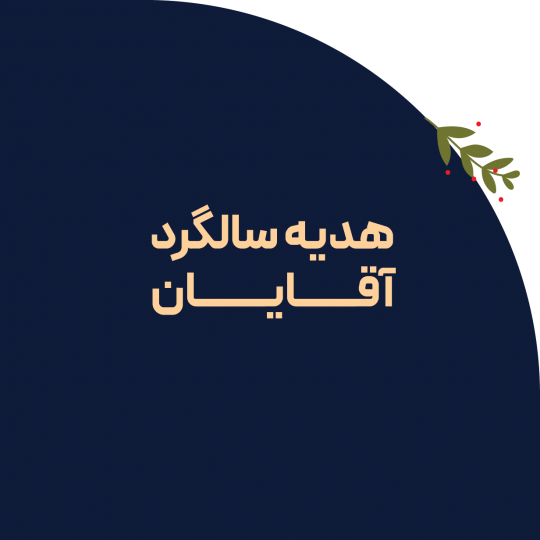 هدیه سالگرد برای آقا