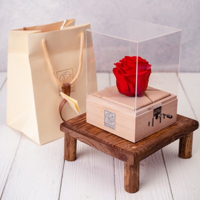 لیست کادو ولنتاین برای دختر