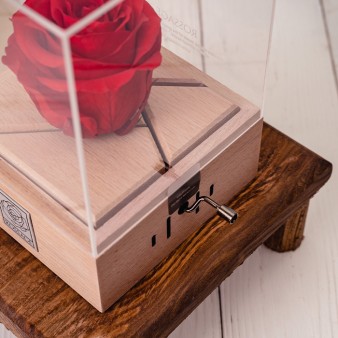 لیست کادو ولنتاین برای دختر