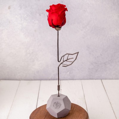 لیست کادو ولنتاین برای دختر