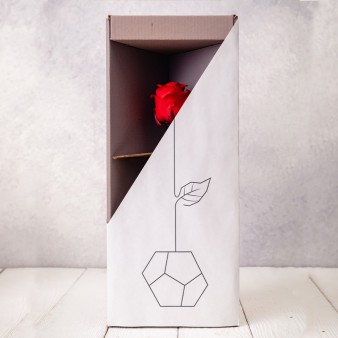 عکس خفن عکس کادو ولنتاین برای دختر