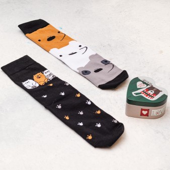 پک کادو سه خرس