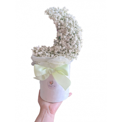 باکس گل میا